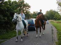 Een ritje te paard